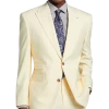 Tayion Classic Fit Suit Separates Coat, Cream